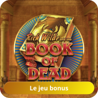 Book of Dead bonus